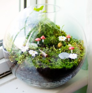 terrarium idea