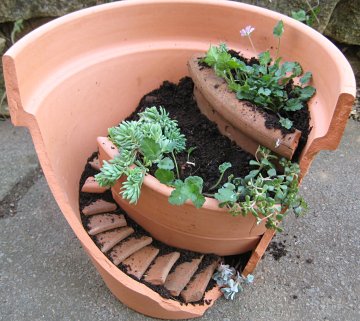broken pot plants
