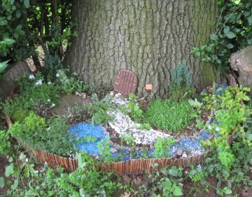 fairy garden mess